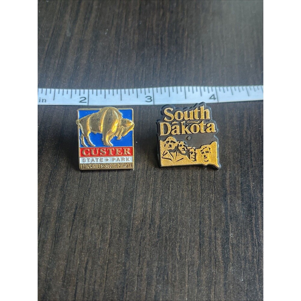 Lot Of 2 South Dakota Pins Custer SP Buffalo Black Hills And Mount Rushmore